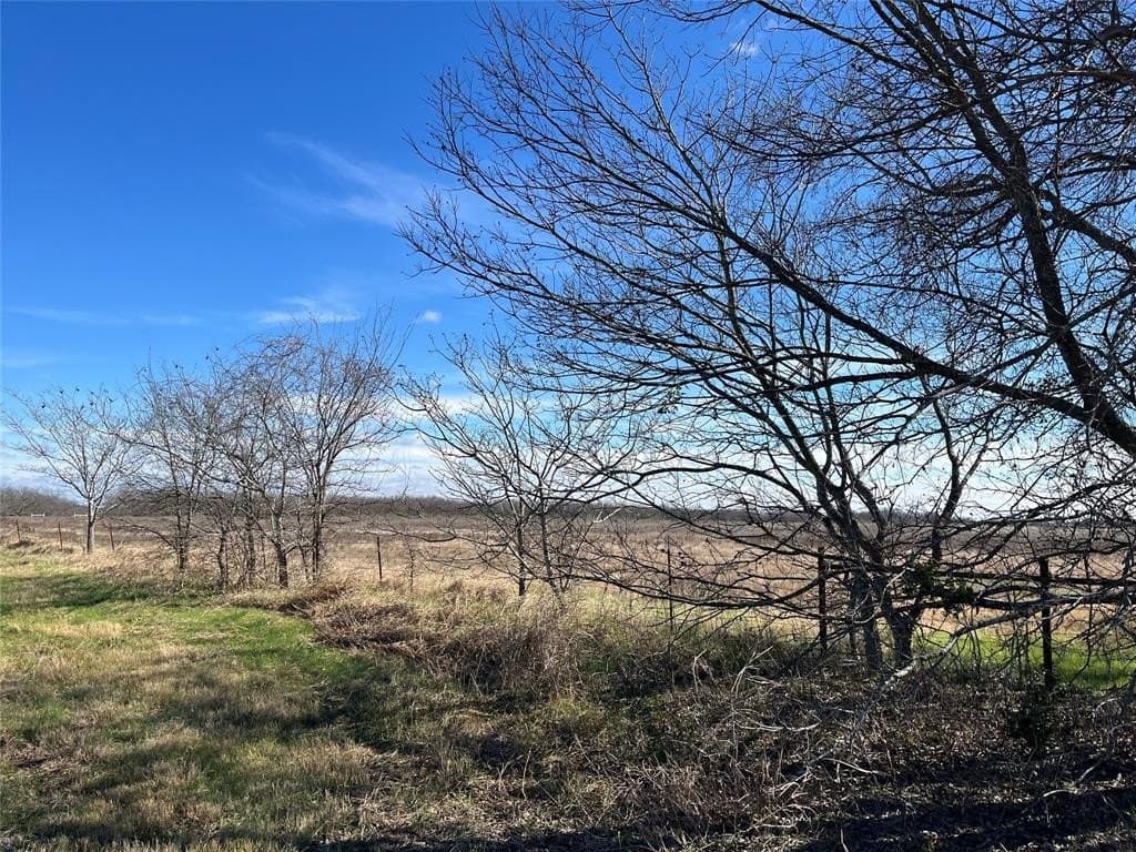 10 acres in Navarro County - photo 11