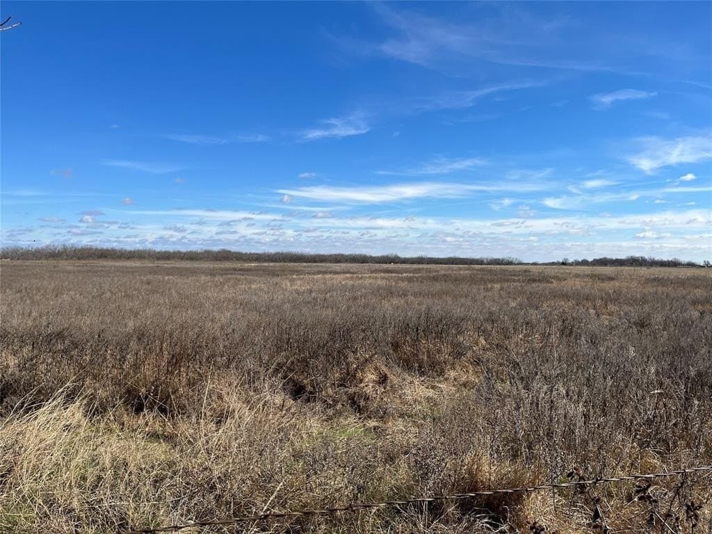 10 acres in Navarro County - photo 22