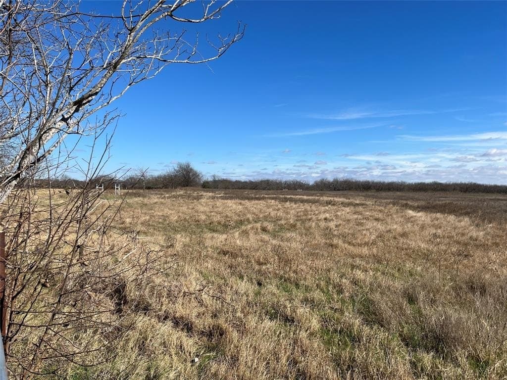 10 acres in Navarro County - photo 14
