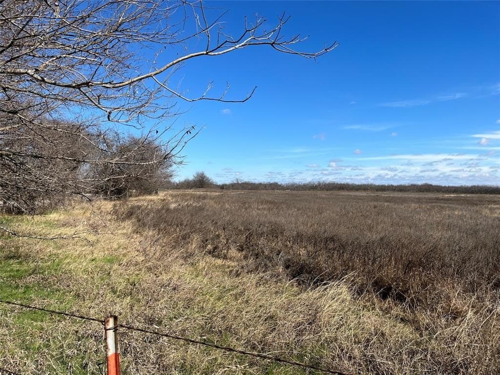 10 acres in Navarro County - photo 19