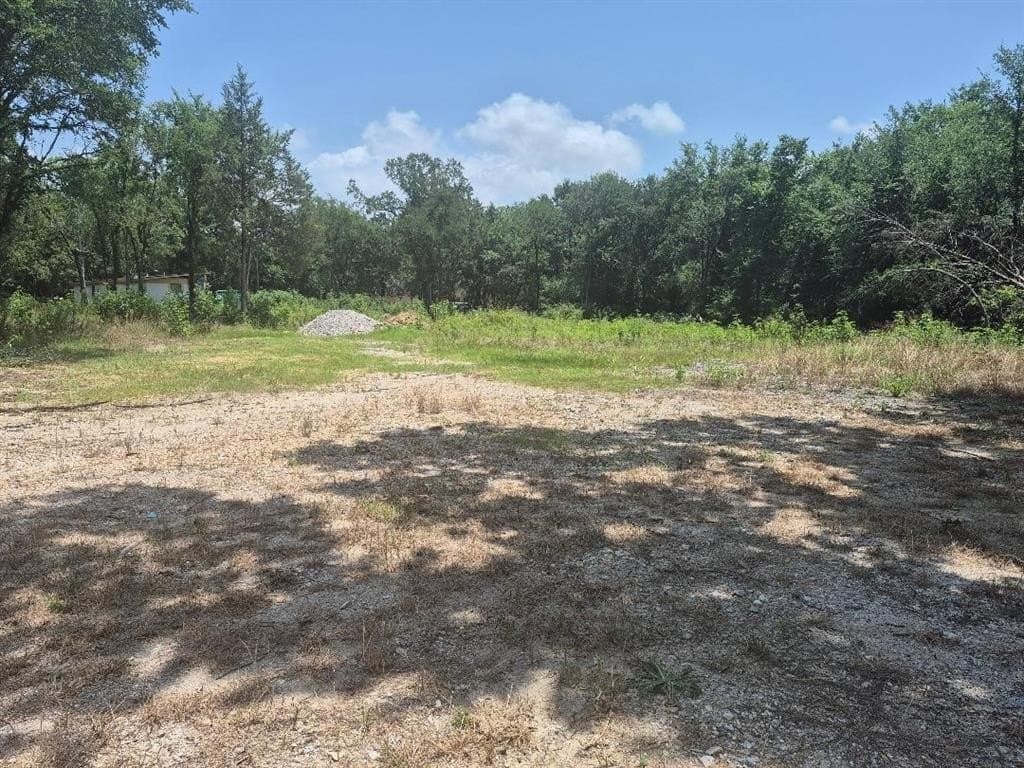 2.78 acres in Dallas County - photo 4