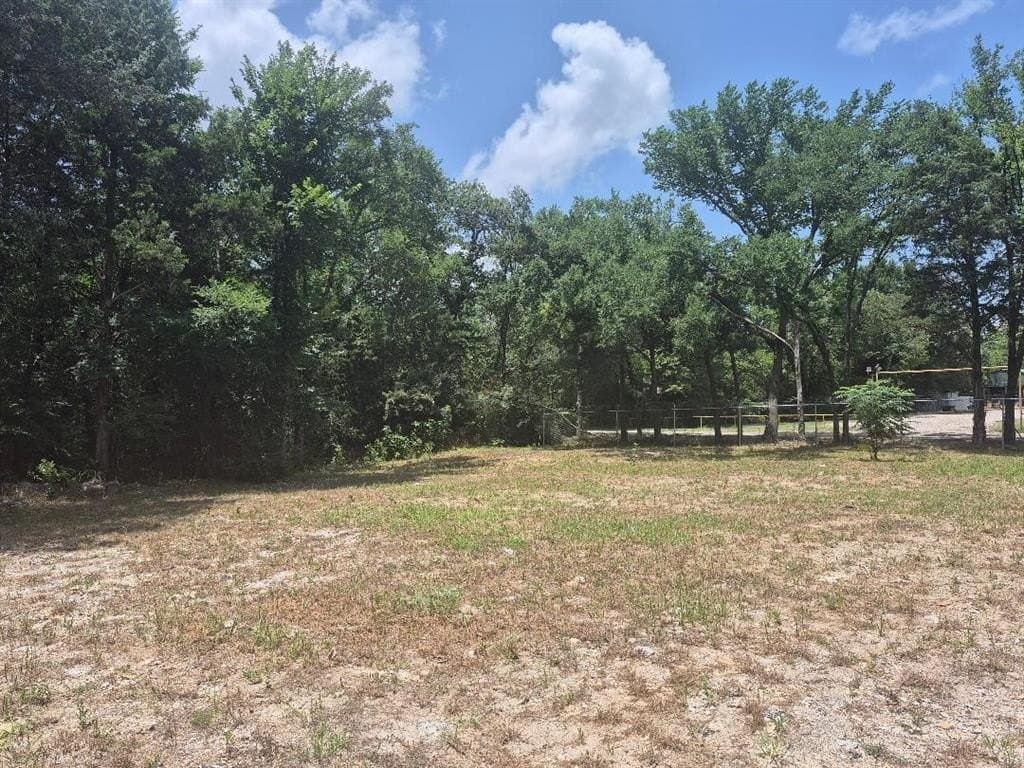 2.78 acres in Dallas County - photo 3