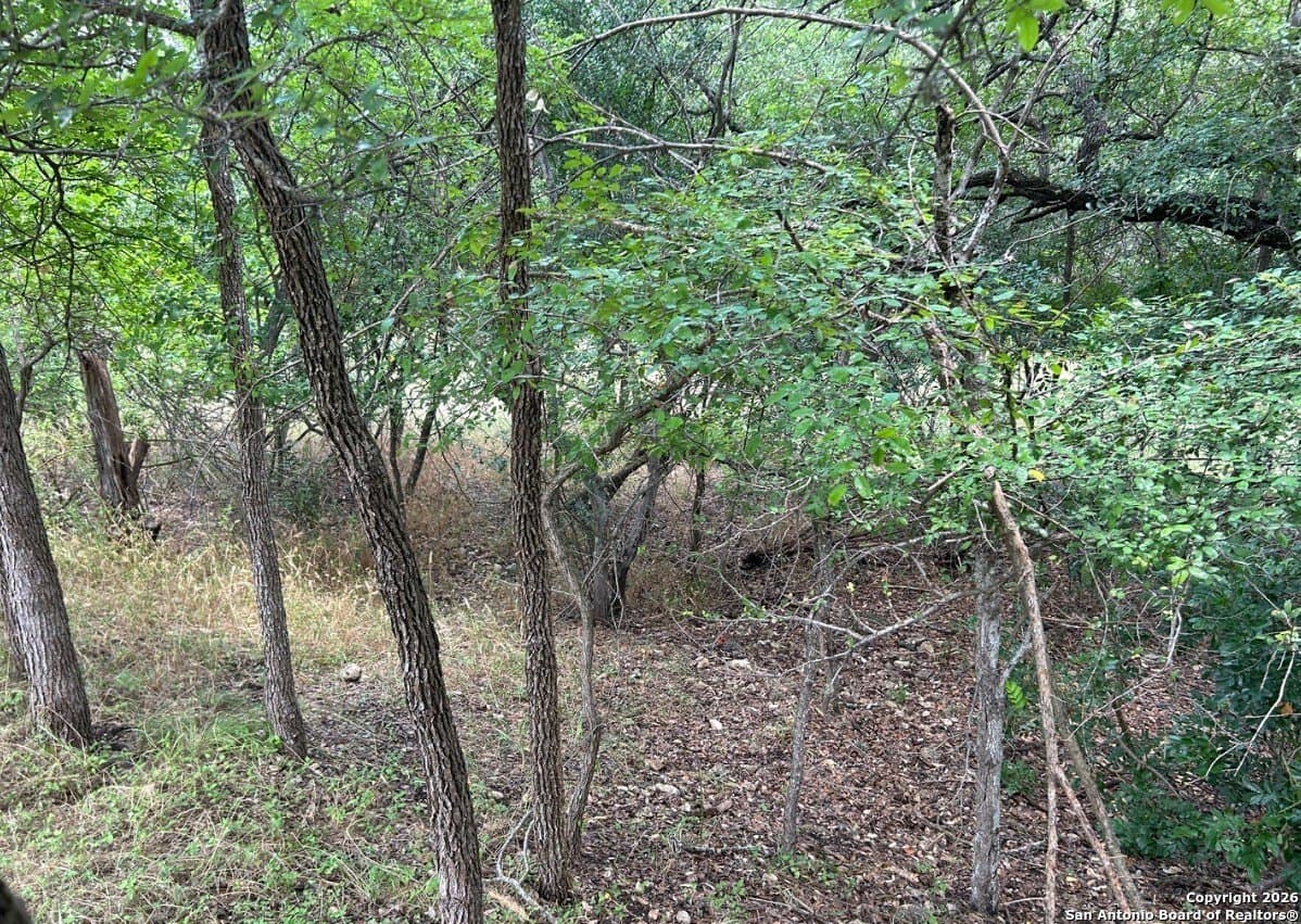 1.73 acres in Bexar County - photo 4