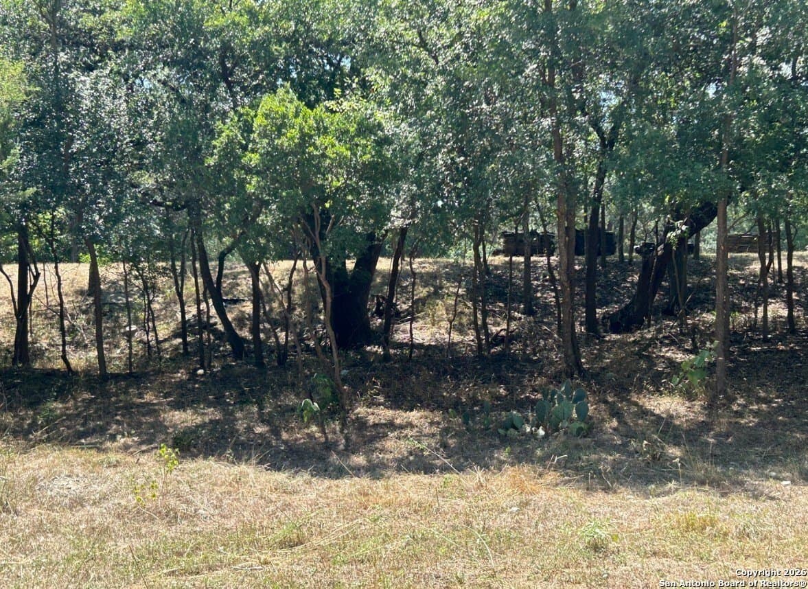 1.73 acres in Bexar County - photo 2