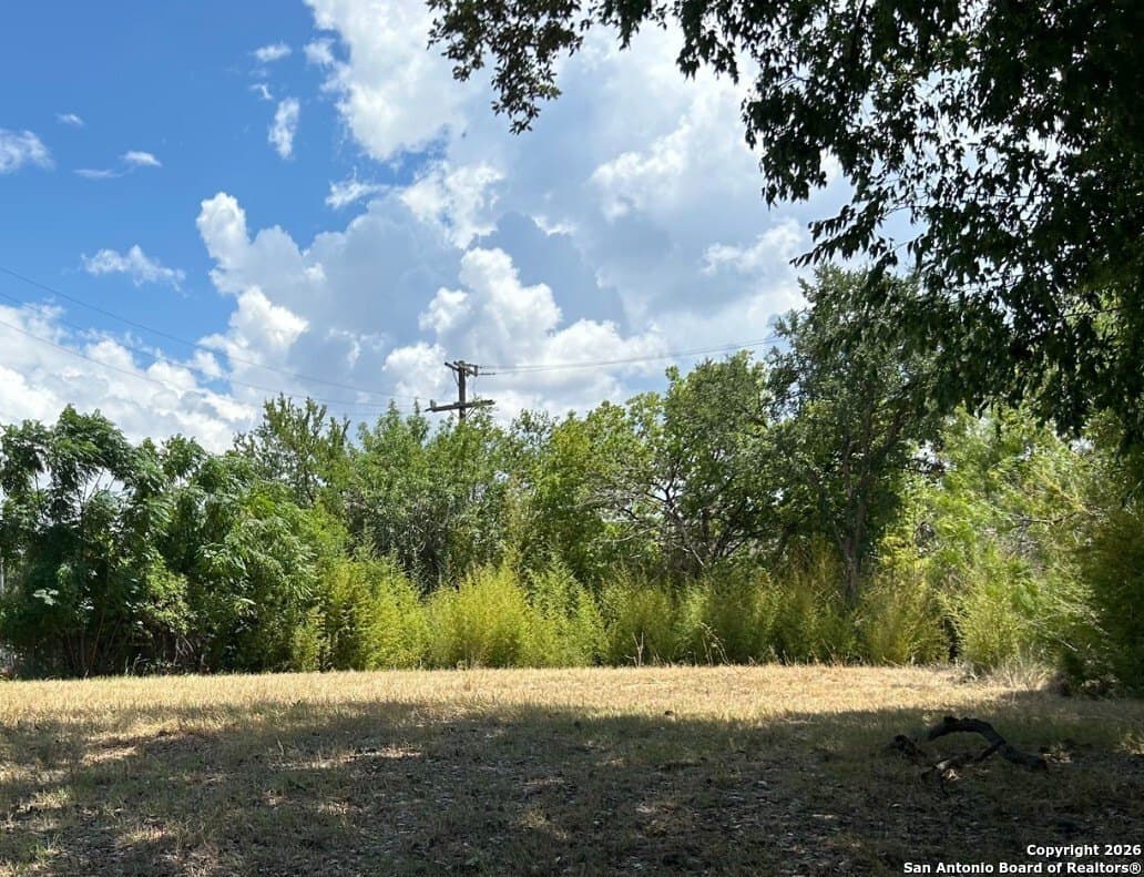 1.73 acres in Bexar County - photo 3