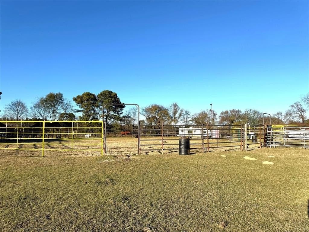 25.15 acres in Camp County - photo 18