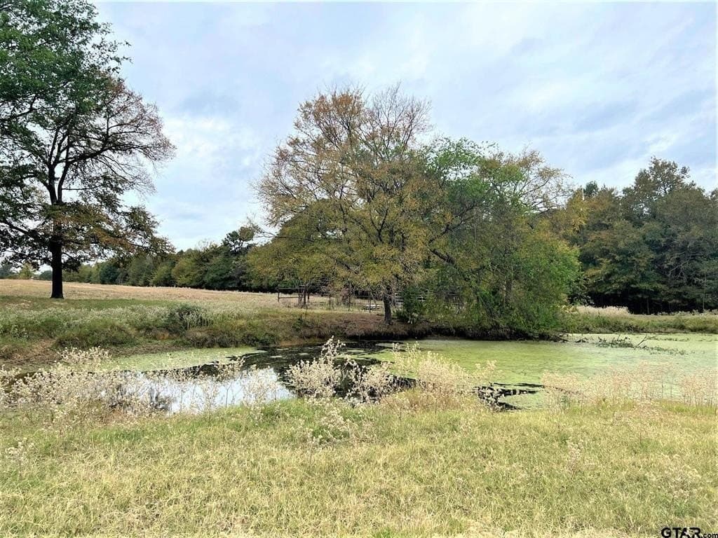 25.15 acres in Camp County - photo 13