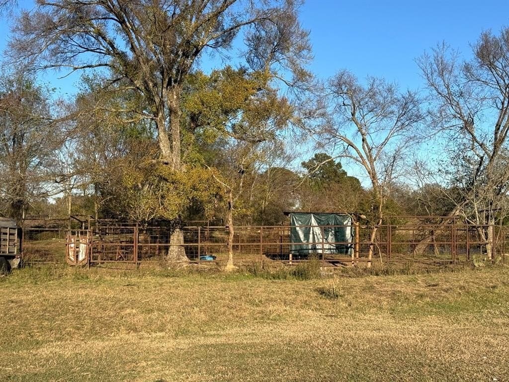 25.15 acres in Camp County - photo 23