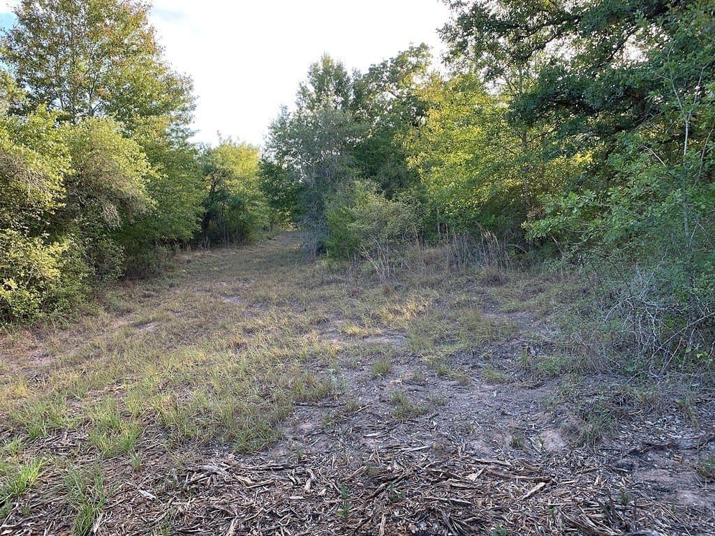 11 acres in Lavaca County - photo 21