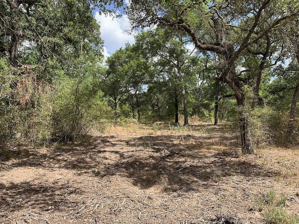 11 acres in Lavaca County - photo 13