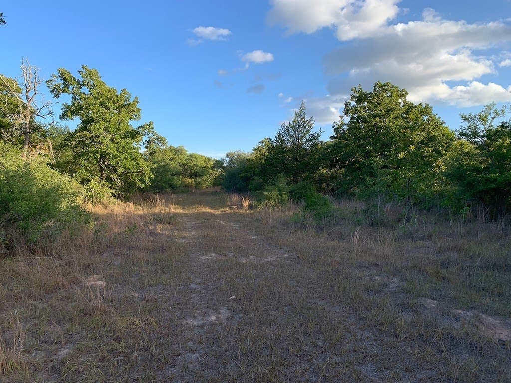 11 acres in Lavaca County - photo 18