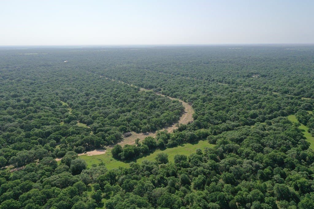 11 acres in Lavaca County - photo 10