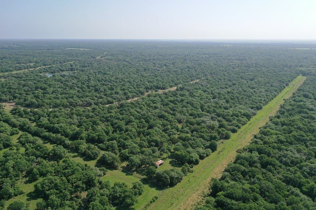 11 acres in Lavaca County - photo 23