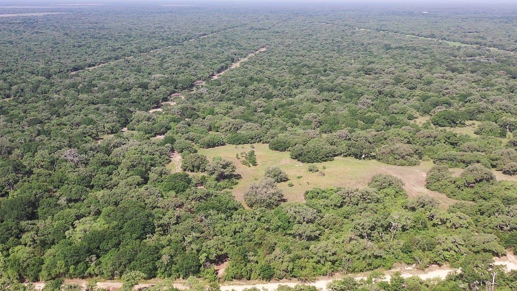11 acres in Lavaca County - photo 26