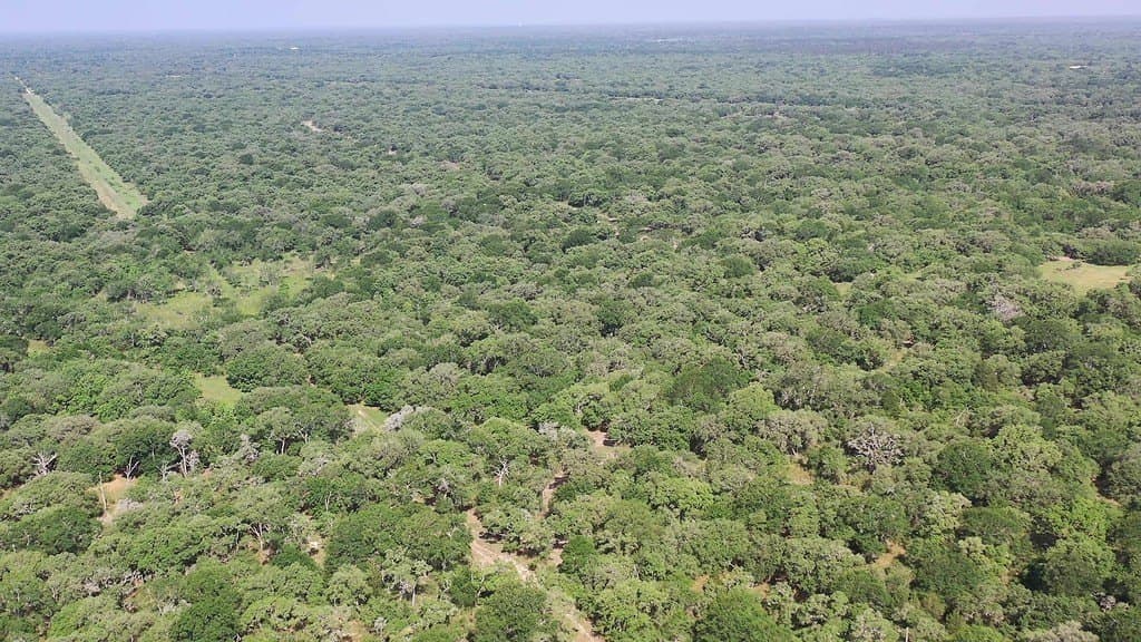 11 acres in Lavaca County - photo 24