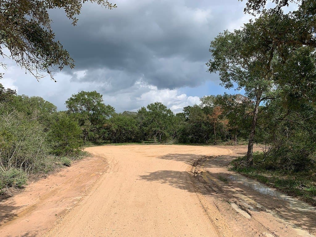 11 acres in Lavaca County - photo 11