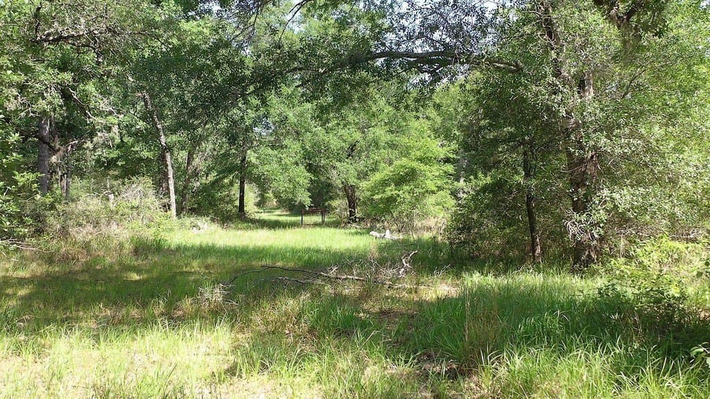 11 acres in Lavaca County - photo 2