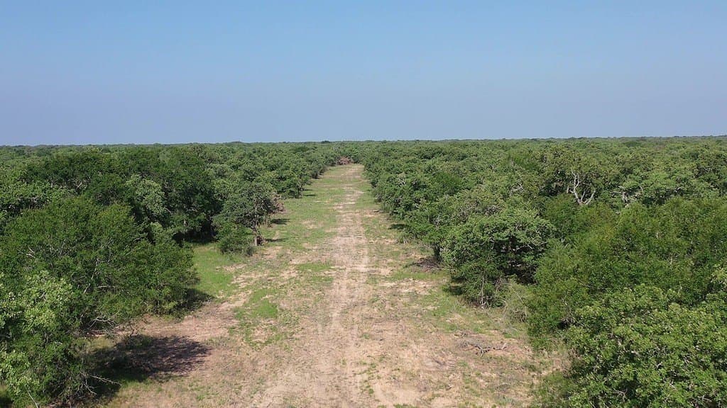 11 acres in Lavaca County - photo 29