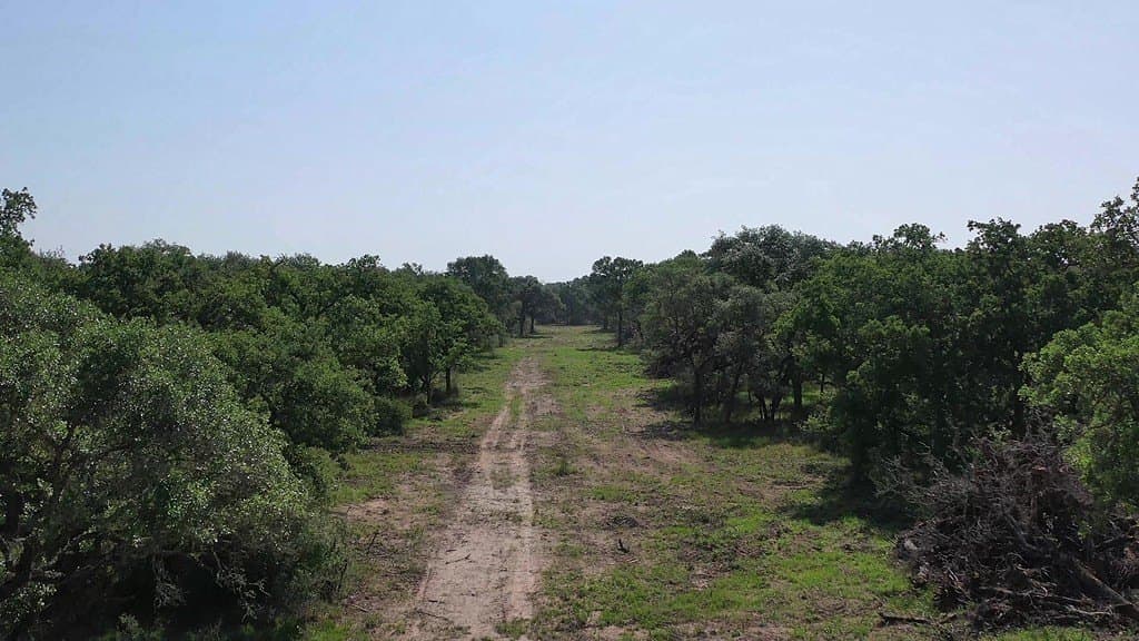 11 acres in Lavaca County - photo 14