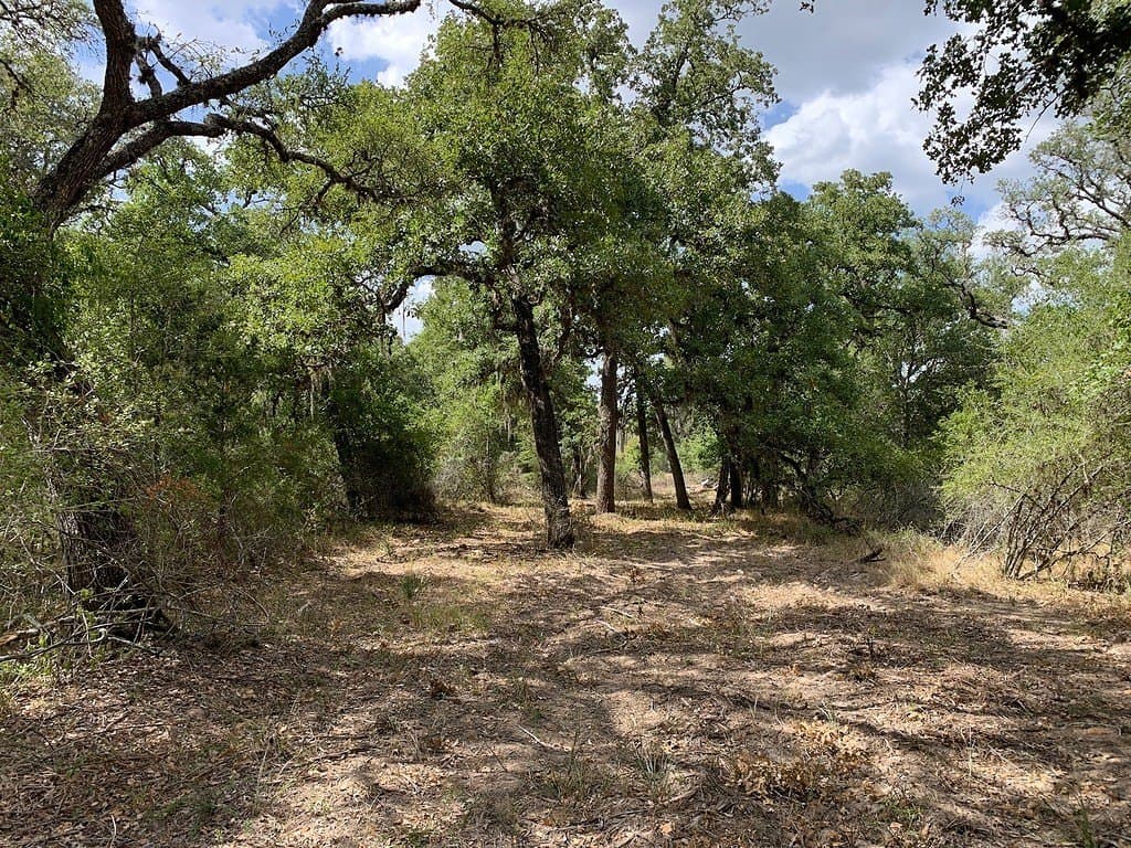 11 acres in Lavaca County - photo 15