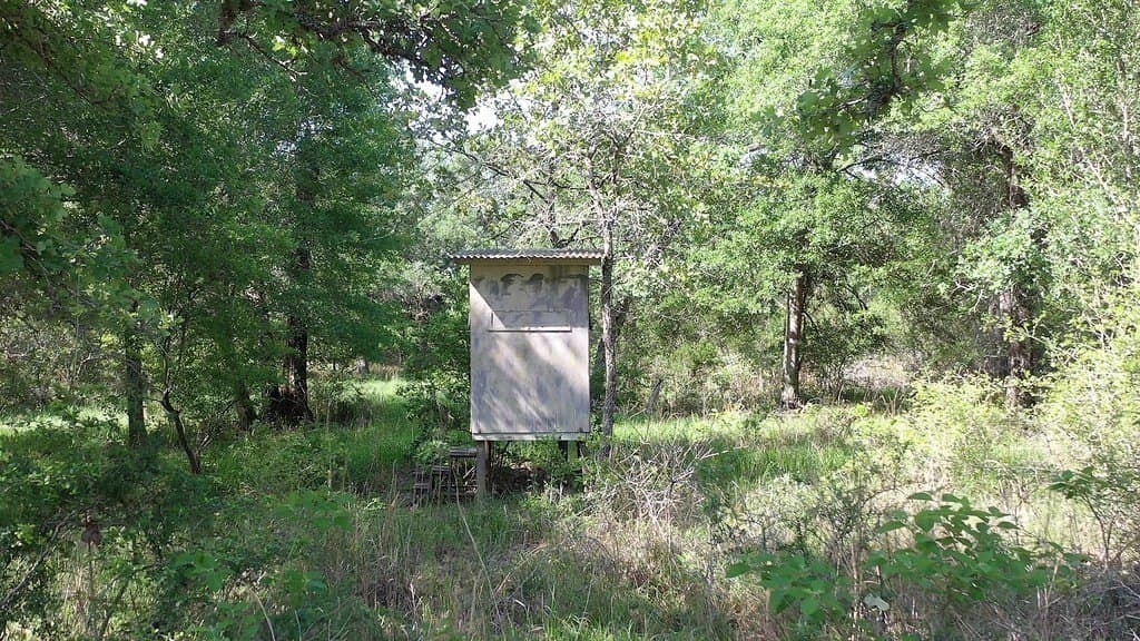 11 acres in Lavaca County - photo 12
