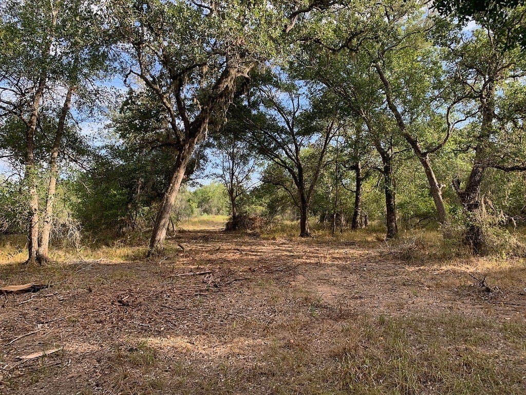 11 acres in Lavaca County - photo 17