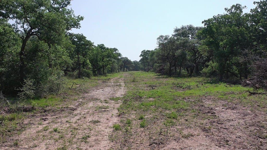 11 acres in Lavaca County - photo 30