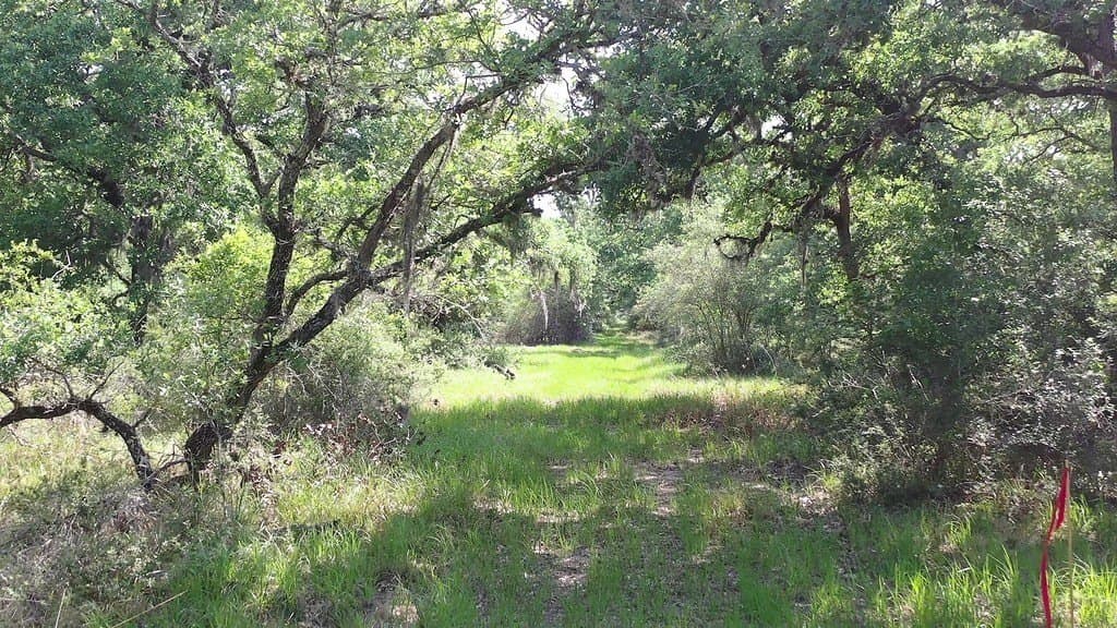 11 acres in Lavaca County - photo 5