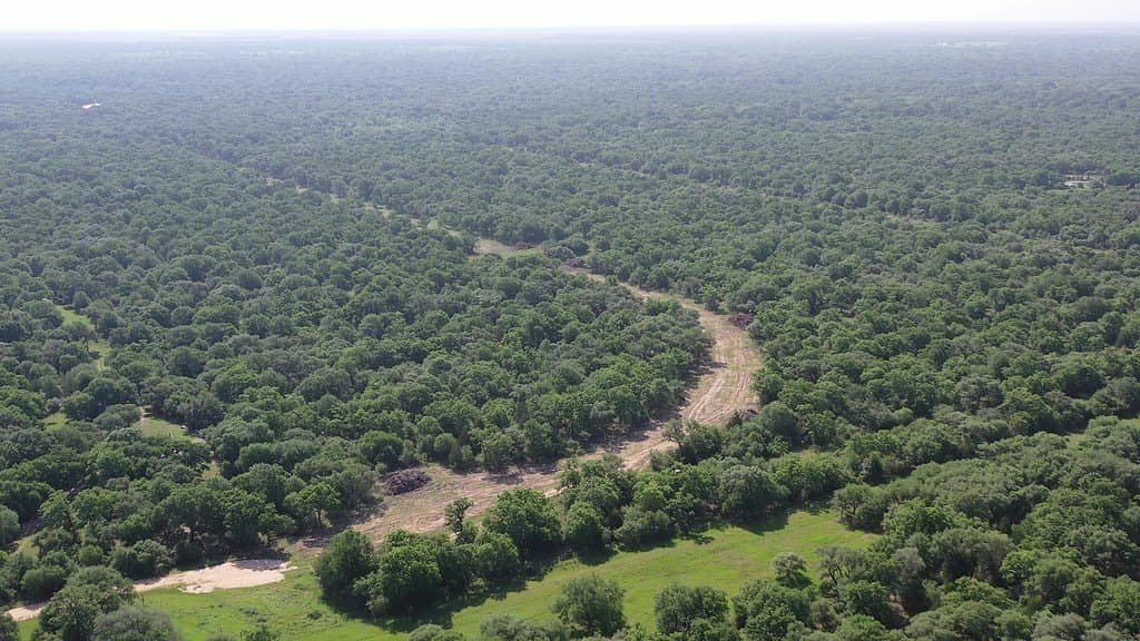 11 acres in Lavaca County - photo 16