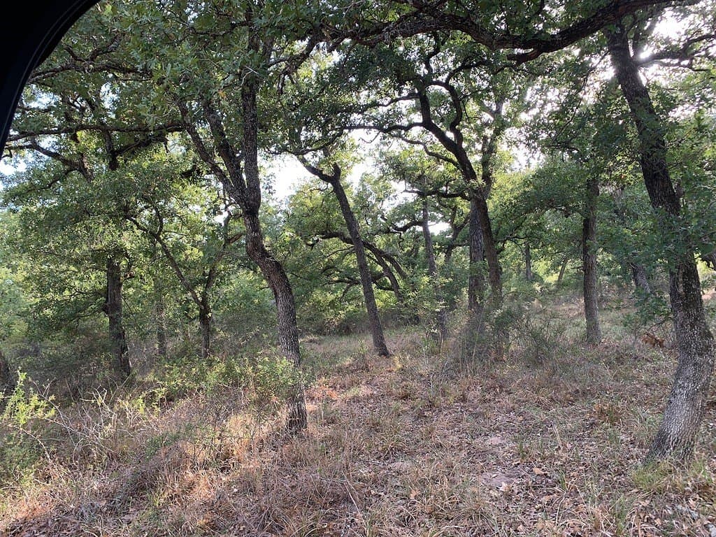 11 acres in Lavaca County - photo 19