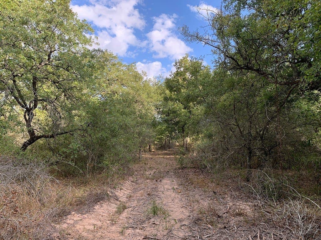 11 acres in Lavaca County - photo 20