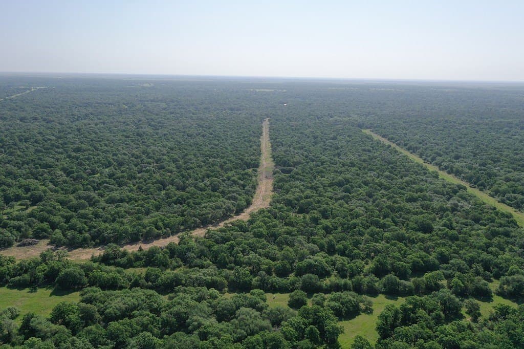 11 acres in Lavaca County - photo 22