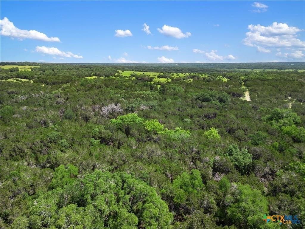 11.88 acres in Travis County - photo 5