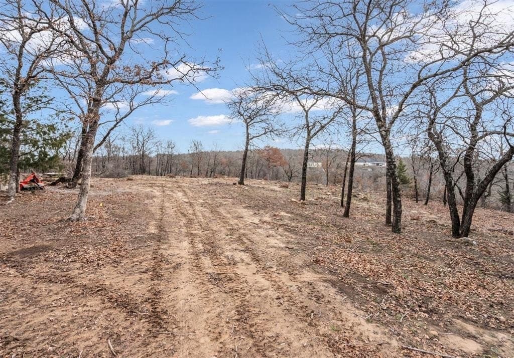 8.57 acres in Montague County - photo 14