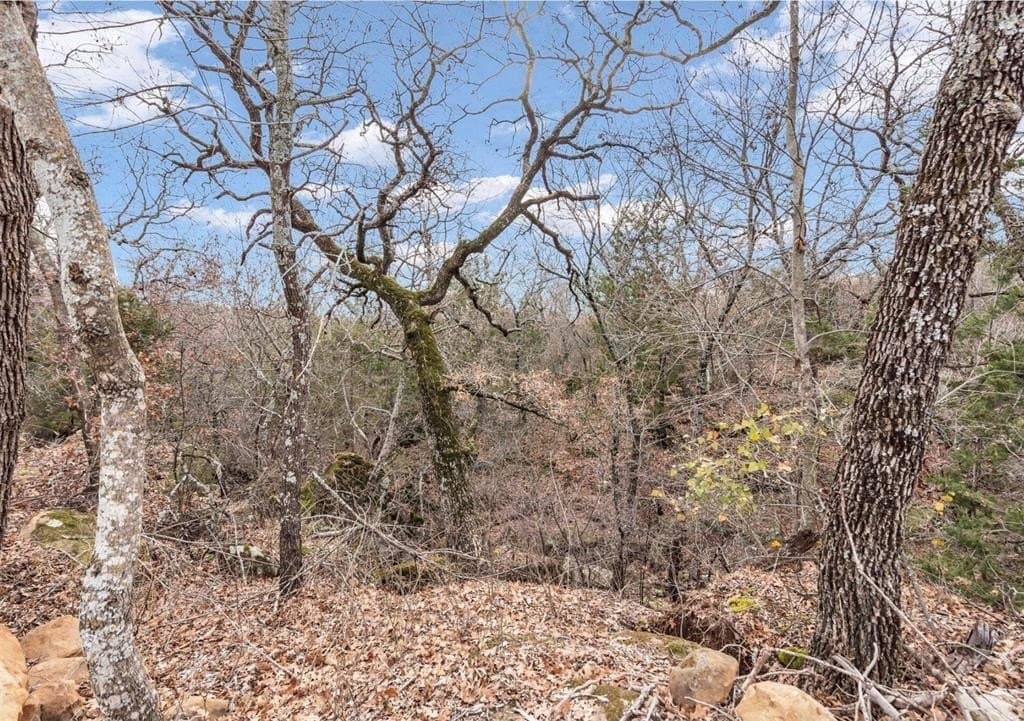 8.57 acres in Montague County - photo 19
