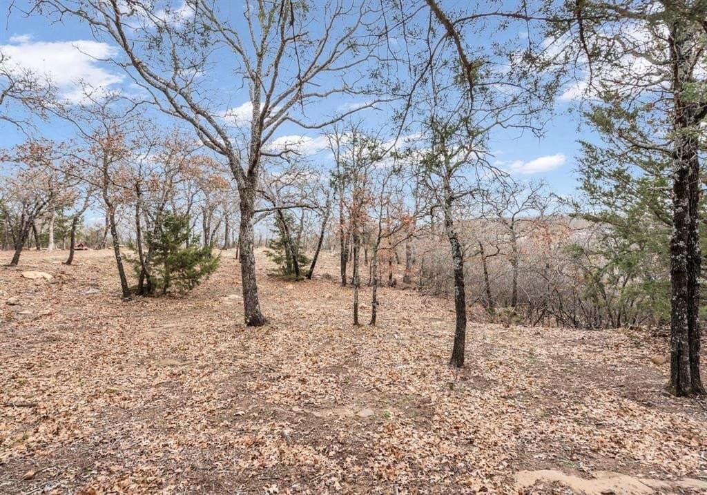 8.57 acres in Montague County - photo 27