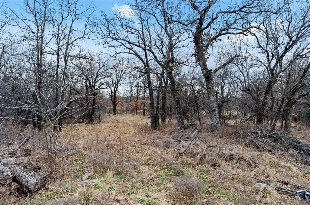 1.48 acres in Wise County - photo 8
