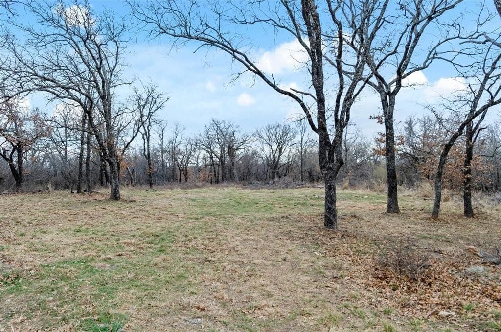 1.48 acres in Wise County - photo 4