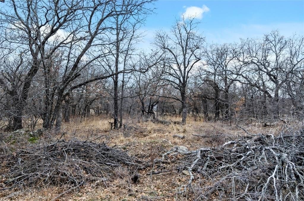 1.48 acres in Wise County - photo 9