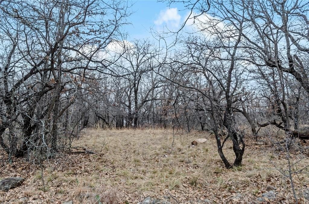 1.48 acres in Wise County - photo 10