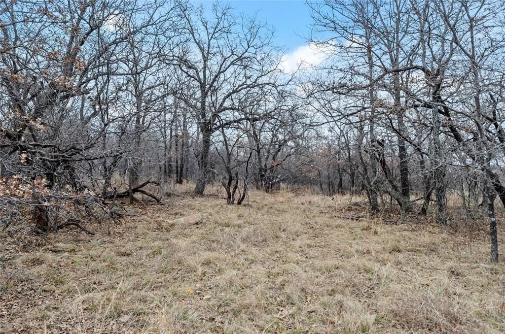 1.48 acres in Wise County - photo 3