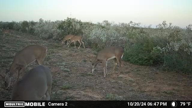 18.03 acres in Duval County - photo 11