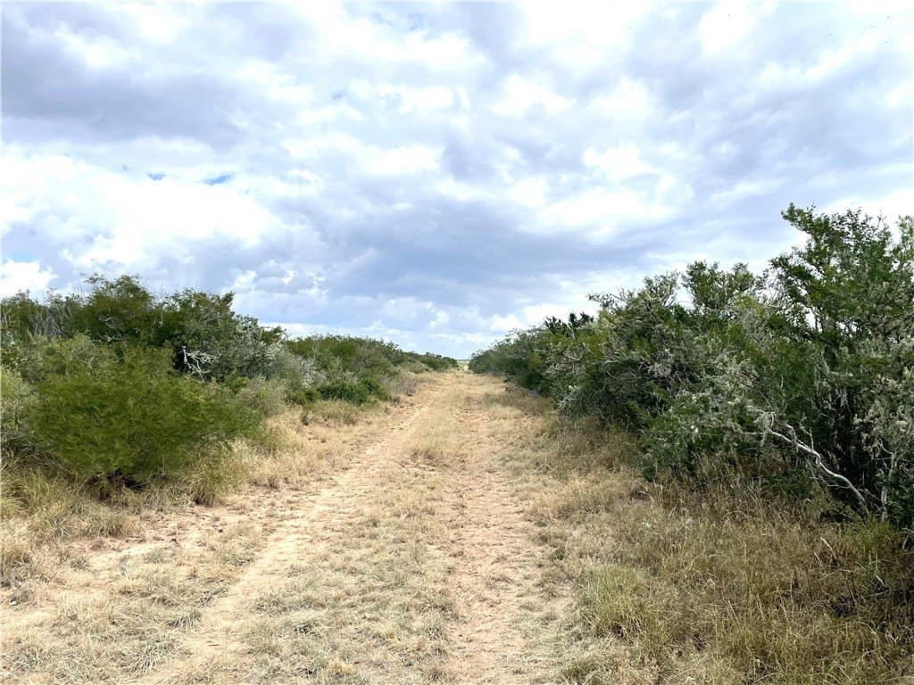 18.03 acres in Duval County - photo 6