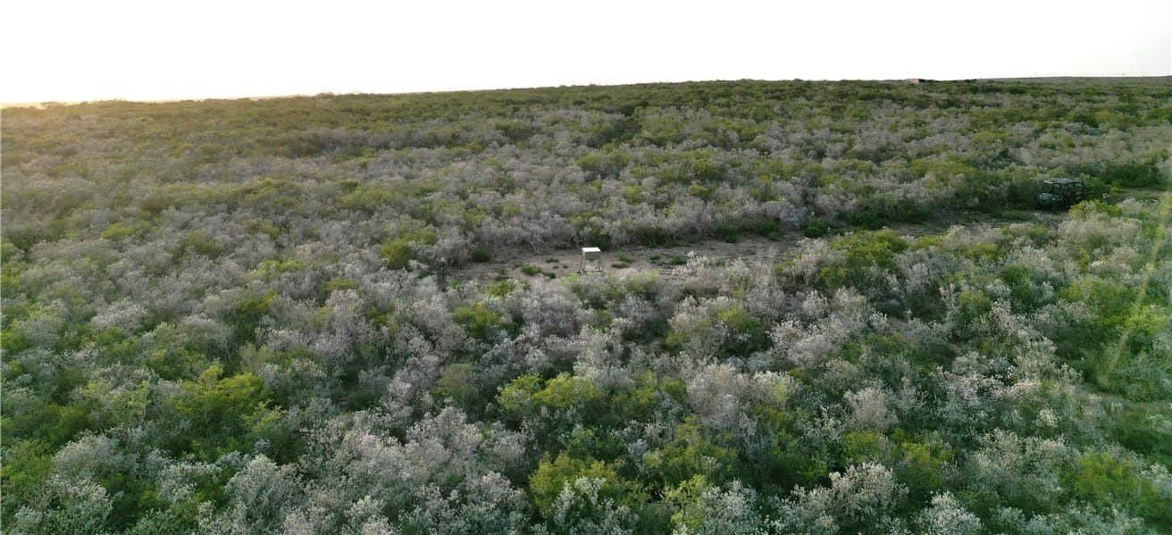 18.03 acres in Duval County - photo 4