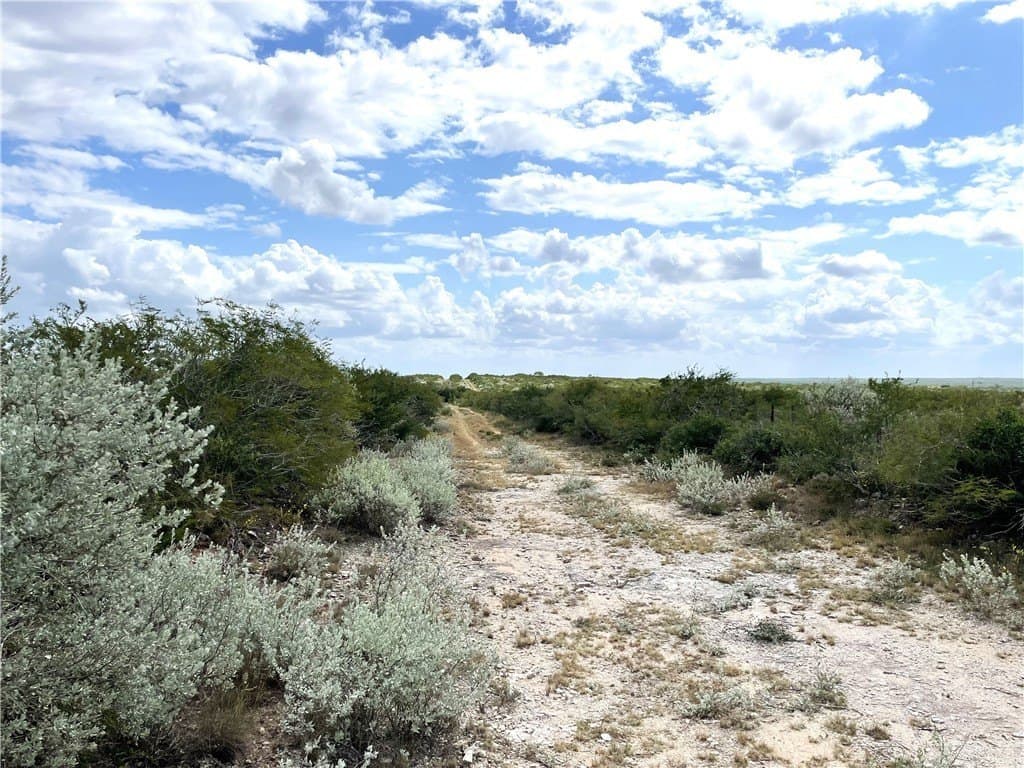18.03 acres in Duval County - photo 7