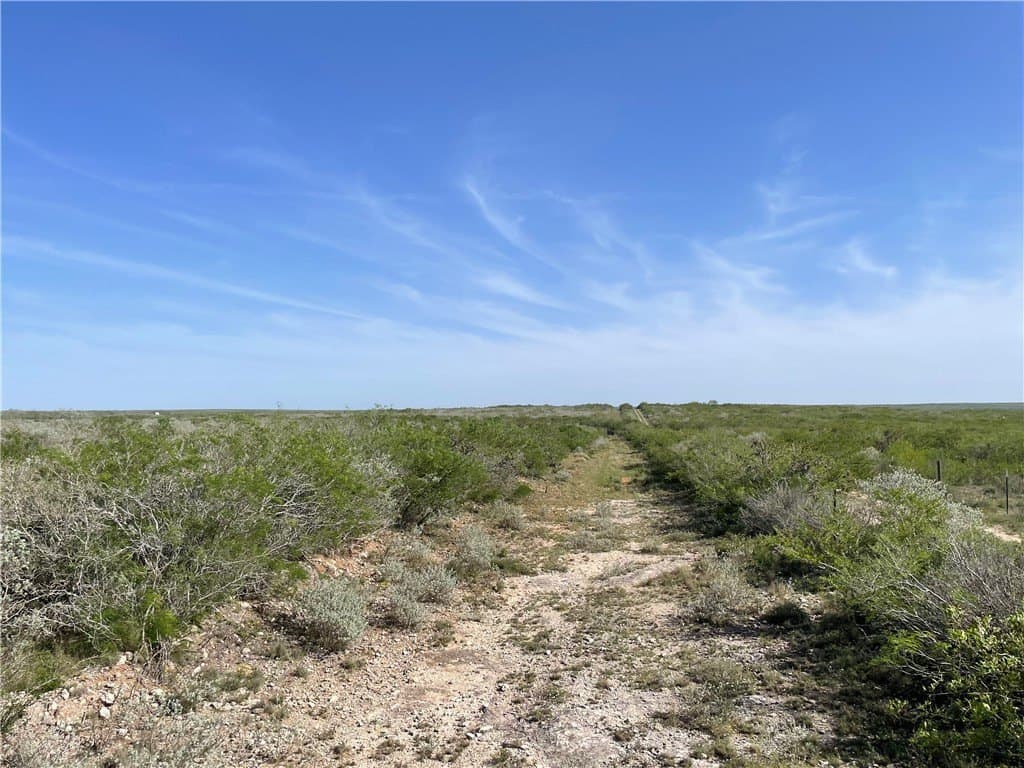18.03 acres in Duval County - photo 5