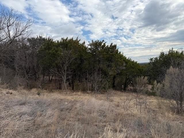 5.01 acres in Palo Pinto County - photo 2