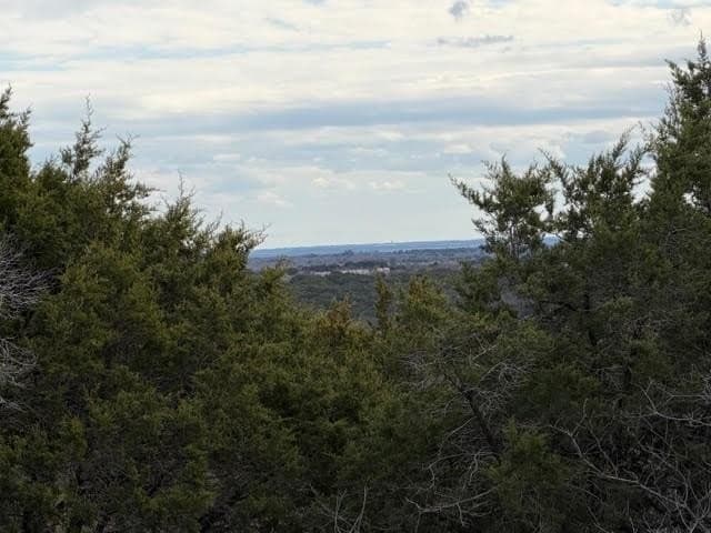 5.01 acres in Palo Pinto County - photo 4