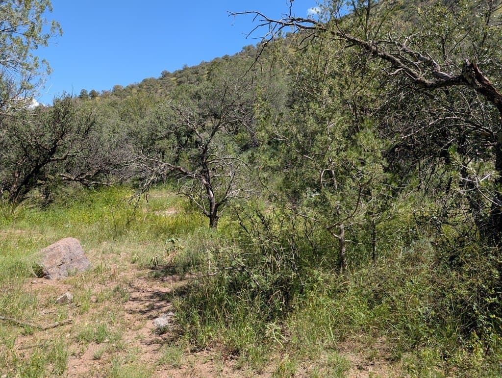 6.44 acres in Jeff Davis County - photo 13
