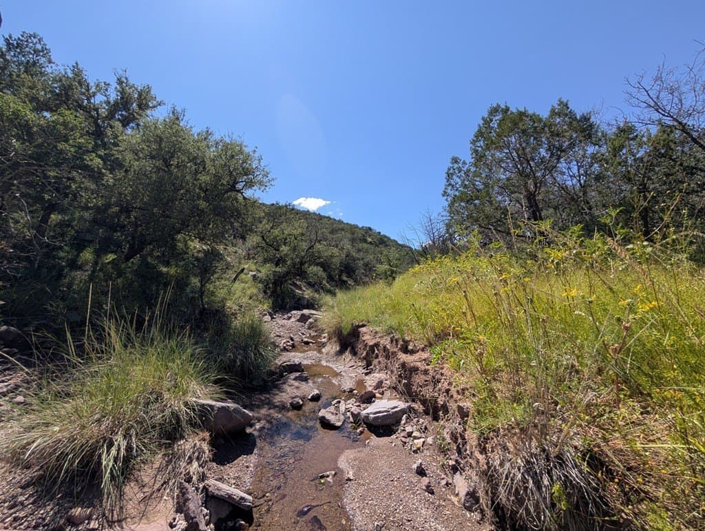 6.44 acres in Jeff Davis County - photo 17